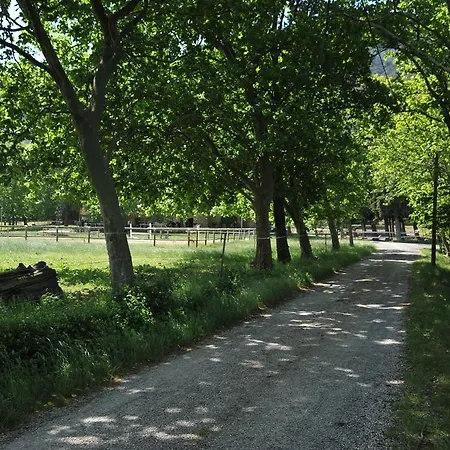 Domaine De Castel Fizel Caudies-de-Fenouilledes